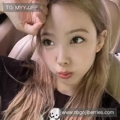 龚韶禹 龚韶禹